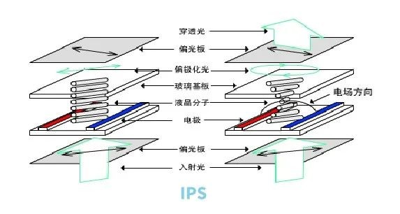 IPS面板.jpg