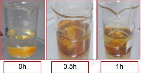 氟化物(wù)与水反应后粉體(tǐ)颜色变化图.jpg