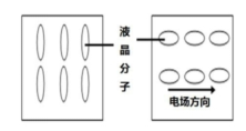 图三  液晶分(fēn)子的工作原理(lǐ).jpg